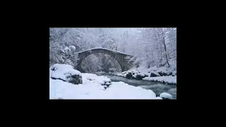 ذويت مرباع الغضى سيد الأحباب    مدري يزول الجرح زاد التهابه    دندنها