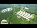 16 houses with 180 acres in Lamar County Georgia