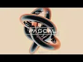 🔊 Misha Miller x Alex Velea - BAM BAM (PASCAL Remix) 🎶