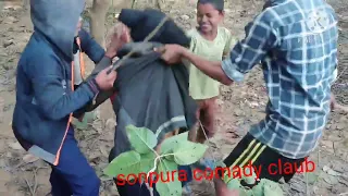jangal me mangal nahi karna chaie