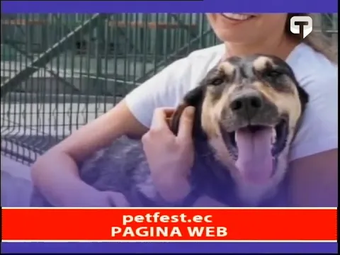 Pet Fest 2023 - primera Feria Human Fiedly de Ecuador