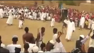 هيثم زمراوي الدامر 