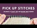 How to Pick Up Stitches Along Cast On or Bind Off Edges Pick Up and Knit From Horizontal Edge
