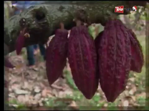 Ecuador Agropecuario 21-12-2017