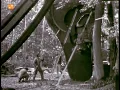 Lagu JEAN TINGUELY \u0026 Co: Le monstre dans la forêt (2005)