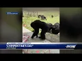 Save the Chimps Hosts Chimpentine s Day in Fort Pierce WPBF 25 News