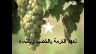 كنيستي ارجو لك موسيقى دندنها