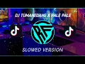 Lagu DJ TUMANEDANG x PALE-PALE SLOW VERSION NEW 2022