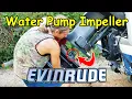 How To Change An Evinrude Outboard Water Pump Impeller