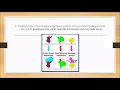 Protein Microarray