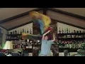 A Lil Church (nobody's too lost) by TobyMac- Worshipping Jesus With Flags 