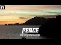 Download Lagu Neray Network - Peace ft. Roller FMA [Bazan Records]