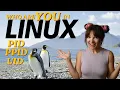 Linux System Programming PIDs UIDs fork and System Calls Explained with Real Code