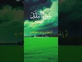 Download Lagu Surah al Balad 90 (The City) Ayat 11-18 urdu translation Tarjuma quran #tranding #shorts