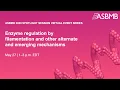 Enzyme regulation by filamentation and other alternate and emerging mechanisms