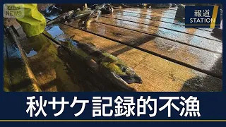 “倉庫が閑散”新巻鮭の価格4倍も…秋サケ高騰“記録的不漁”ここ30年で最悪水準【報道ステーション】(2026年10月9日)