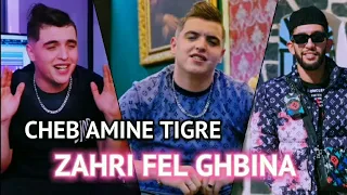 Cheb Amine Tigre 2025 زهري فالغبينة Avec Mohamed Halloween جديد راي لايف 