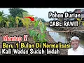Lagu Update Kali Wadas pasca Banjir Perum Karaba Tegal luhur Warga karawang Lainn