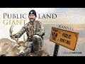 GIANT BUCK on PUBLIC LAND Kansas Bow Hunt