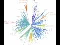 Minimum spanning tree Prim and Kruskal algorithms
