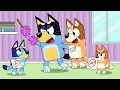Download Lagu Is Bluey a Bad Student, Right?? - Bluey Funny Animation
