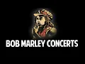 Bob Marley & The Wailers - Easy Skanking Demo