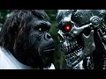 Download Lagu Bigfoot Met a Terminator in the Forest | Bigfoot Vlog