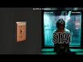 Charlie Puth, The Kid Laroi & Justin Bieber - Light Switch x STAY [BMR]