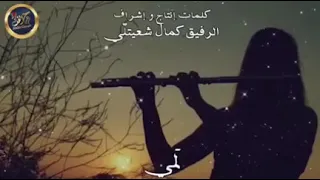 Ajmal Mawal يا طير جنوبي أجمل موال ممكن تسمعه بحياتك 