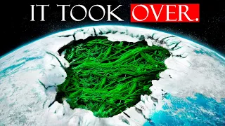 When a Single Plant Froze the Entire Planet (The Azolla Event)