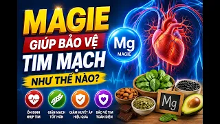 Magie Và Tim Mạch Những Lợi Ích Ít Người Biết