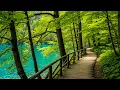 Lagu The Most Relaxing Melody - Beautiful Relaxing Music For The Heart And Blood Vessels