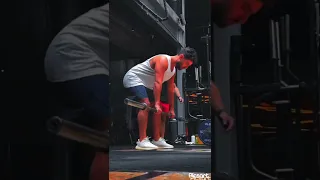 بدنا نروح على مكان جديد اسمه حديقه الحيوان 