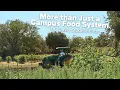 More than Just a Campus Food System UC Davis Student Farm