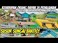 Download Lagu Susur Sungai Barito, Kehidupan Suku Dayak di Pedalaman Sungai Kalimantan Tengah Indonesia