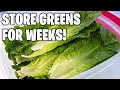 Keep Vegetables fresh for weeks