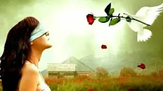 لا ل اصحاب القلوب الضعيفه قصة رعب حقيقية السحر الاسود احمد يونس 