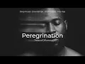 Theory of Diffusion - Peregrination