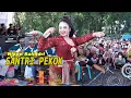 Download Lagu SANTRI PEKOK Niken salindri - Bhatika nada campur sari - GRESS AUDIO