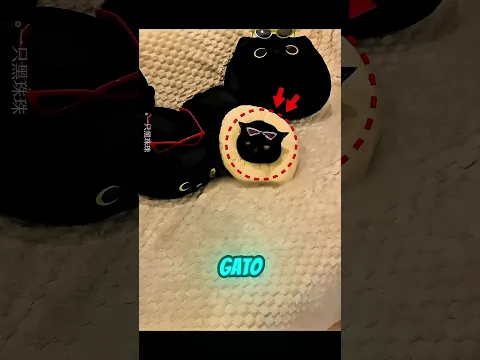 ELA ESCONDEU MAIS DE 20 GATOS DO PAI! 🐱😂