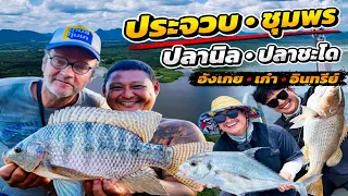 ประจวบ.ชุมพร ปลานิล.ปลาชะโด อังเกย.เก๋า.อินทรีย์