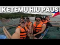 Lagu 🇵🇭Explore Filipina: Berenang Bareng Hiu Paus di Oslob!