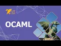 OCaml 22 Efficient out of heap pointers for multicore OCaml