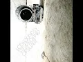 Someone Great - LCD Soundsystem