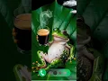 Download Lagu NOTIFIKASI WHATSAPP KEREN ‼️ RINGTONE KODOK SANTUY ||NEW VIRAL RINGTONE #ringtone #viralshorts #fyp