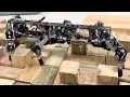 USF Engineering Student Builds Animal-Like Robots