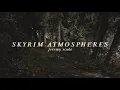 🌲𝑺𝑲𝒀𝑹𝑰𝑴 𝑨𝑻𝑴𝑶𝑺𝑷𝑯𝑬𝑹𝑬𝑺🍂 - 𝑱𝒆𝒓𝒆𝒎𝒚 𝑺𝒐𝒖𝒍𝒆 { 𝒔𝒍𝒐𝒘𝒆𝒅 }