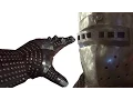 Download Lagu Gauntlets, helmets, studded leather armour, and gold.