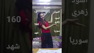 معلومات عن توتي فروتي دندنها