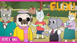 🐾👀 Flix Has a Lot to Prove... But Can He Pull It Off? | @RTÉKIDS
